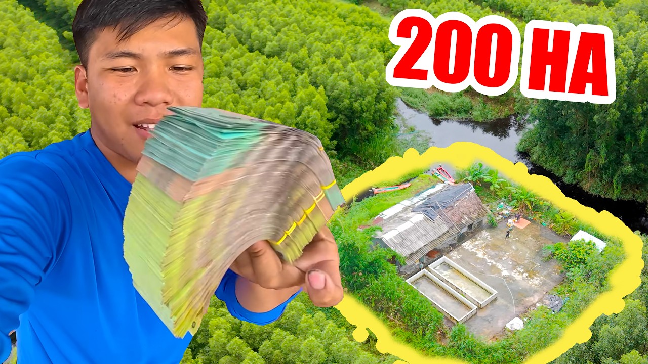 Tin Vui, Duy Thái Săn Được Khu Đất Mới Siêu Khủng Giữa Rừng U Minh