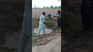 There is no water💦from the bore,no they are pouring water😎💦.#india#shorts#short#shortvideo#subscribe