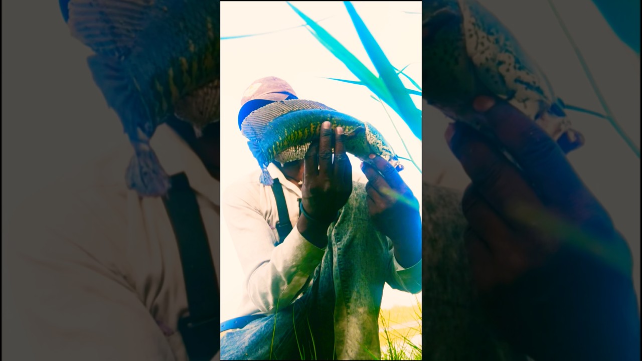 maral fish ka Shikar firock casting sesnakhad fishing