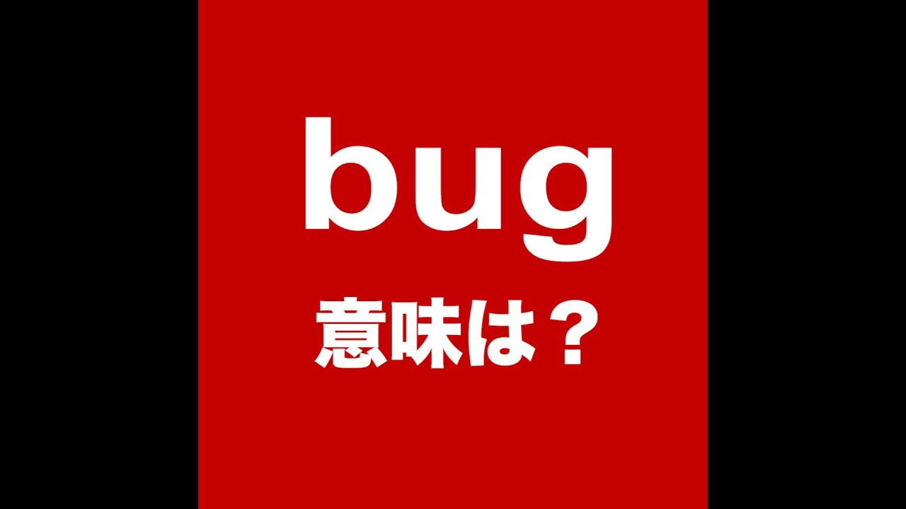 【bug 意味は？ 】「動画で観る！聴く！英語辞書動画」