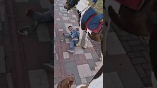 Carlitos Se Cae Del Caballo Completo