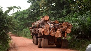 FLEGT in Ghana: Unlocking global opportunities for Ghana's timber industry