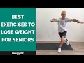 Best Exercises to Lose Weight for Seniors, exercises for the elderly, cardio and endurance seniors