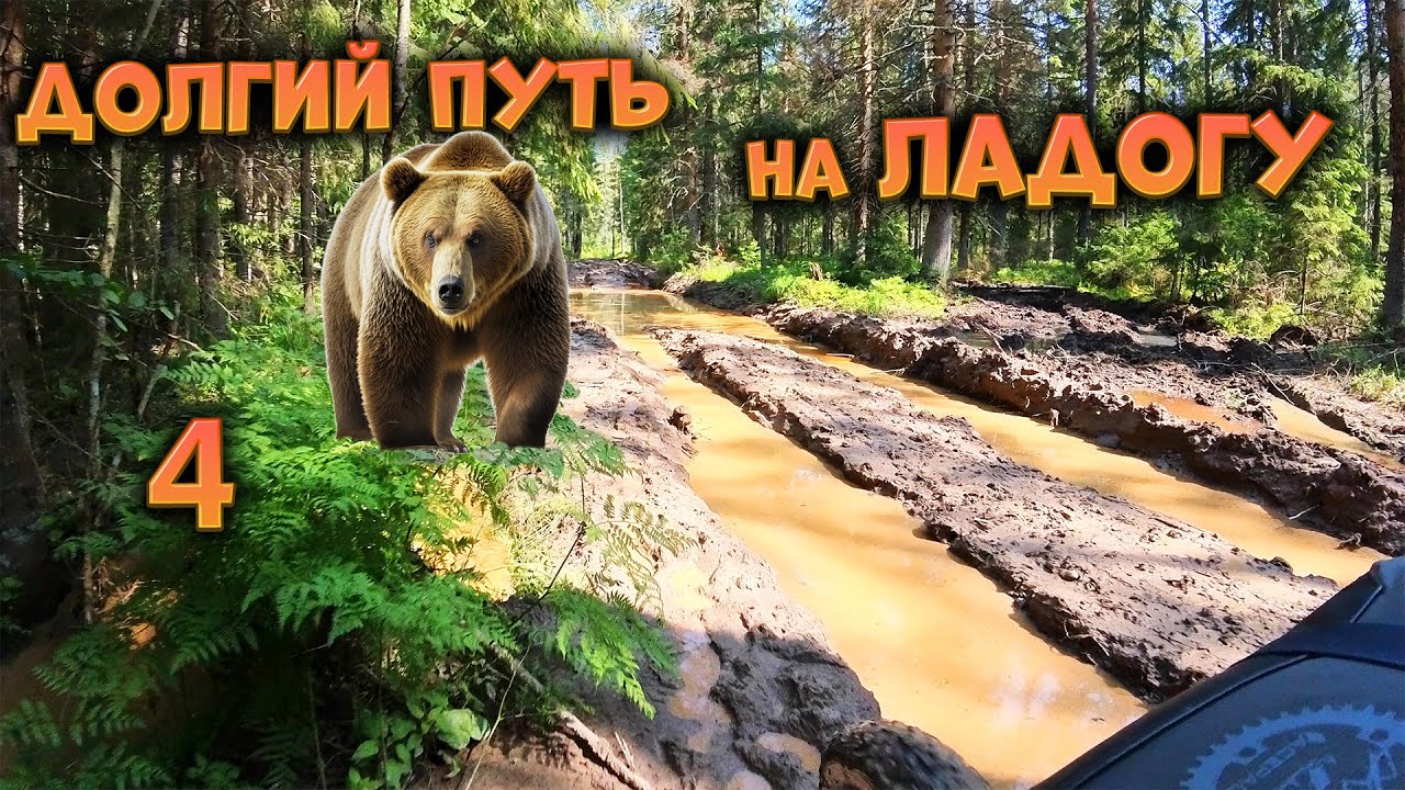 Наткнулся на МЕДВЕДЯ на бездорожье ЛЕДЕНЯЩИЙ УЖАС-В одиночку 900км Тверь-Ладога-ч4