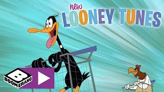 New Looney Tunes | Foghorn's Flash Sale | Boomerang UK 🇬🇧
