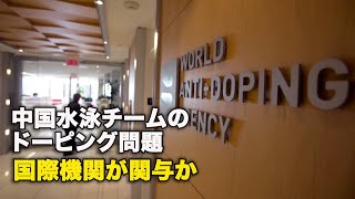 中国水泳チームのドーピング問題　国際機関が関与か