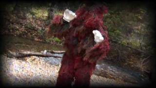 Trent Harris Delightful Water Universe Clip 3