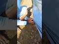 Tahapan pemasangan mulsa hitam perak