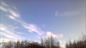 E-flite Apprentice 15e RTF with DX5e Radio - R/C Airplane - maiden voyage