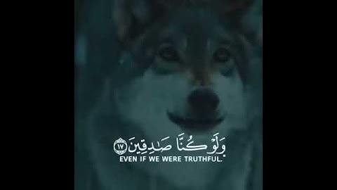 ماتيسر من سورة يوسف حالات واتس اب دينيه