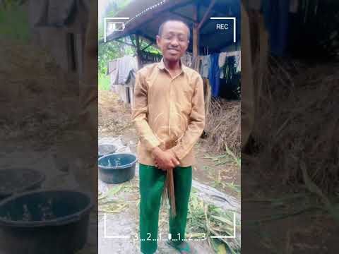 Salam kenal dari