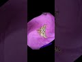 Gold Jewellery. #jewellery #sonekigoldringkidesign #goldjewellerydesignsforwomen #gold