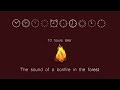 THE SOUND OF A BONFIRE IN THE FOREST. Sound for sleeping. Sound for relaxation. Background sound.