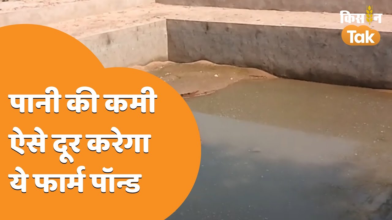 Farm Pond धौलपुर के सरमथुरा में पानी की बेहद कमी, इस समस्या का किसानों