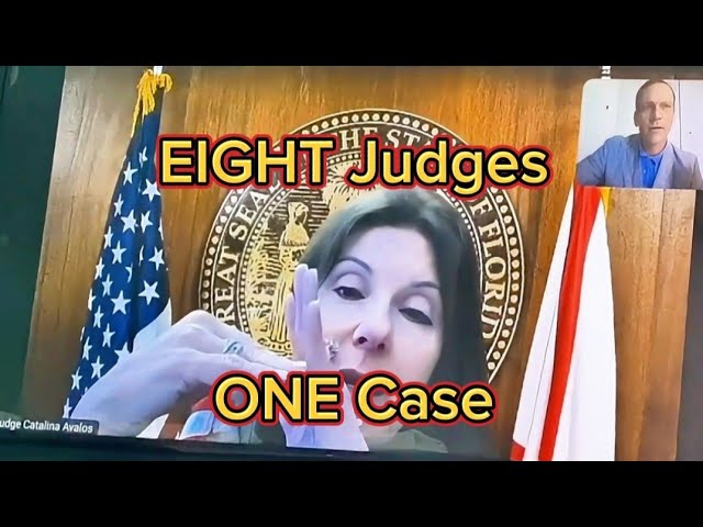 8th Judge on One Divorce Case - Broward County Courts Systemic Oppression of Fathers #court #judge