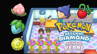 Where to receive a Free Berry daily in Pokemon Brilliant Diamond & Shining Pearl