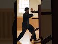(I’m gonna make the real me do wing chun at some point) #ai