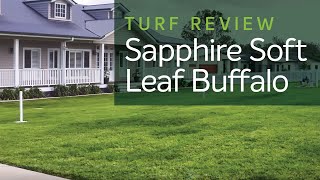 Turf Review | Sapphire Buffalo screenshot 3