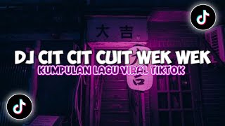 DJ CIT CIT CUIT SOUND MENGKANE VIRAL TIKTOK TERBARU