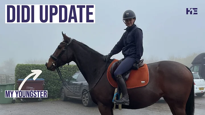 Didi my Young Horse | Update | Backing and Turning...
