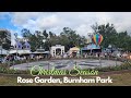 Christmas Season.. Afternoon Walk at Rose Garden, Burnham Baguio City..
