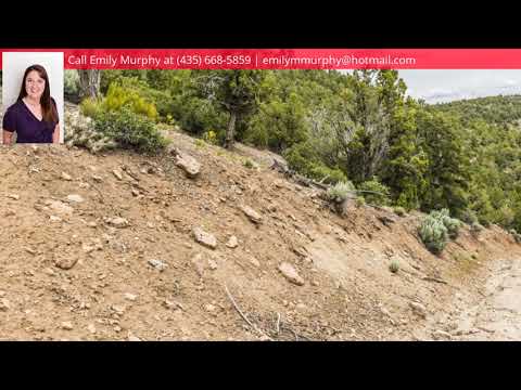 301 Butch Cassidy Trl, Central, UT home video tour
