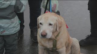 SDHS President helping Ukrainian refugees fleeing with their pets