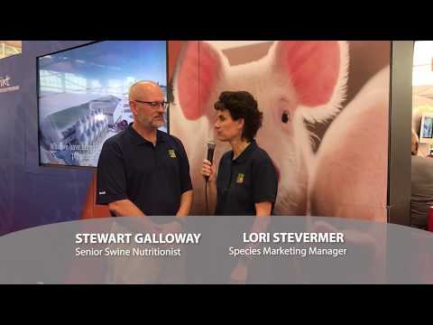 World Pork Expo 2018 - Hubbard Feeds Stewart Galloway