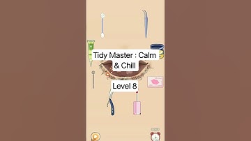 Tidy Master : Calm & Chill Level 8 #games #satisfyingames #solution #fyp