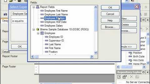 Crystal Reports Tutorial Setting Multiple Filters Business Objects Training Lesson 6.2