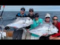 EPIC Double Header African Pompano (Catch and Cook)!! Plus Sailfish and Yellowtail in Islamorada!