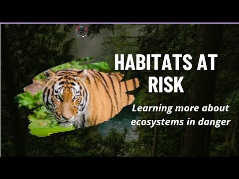 National Endangered Species Day - YouTube