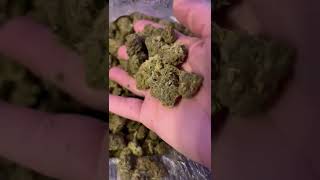 THCA Pounds for Less Than You Think – Real Numbers (Nov 2025)