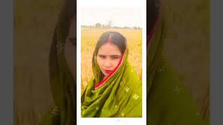 गेहूं काटने है #shortsfeed #shortvideo #trending #newvideo