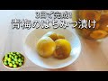 青梅 はちみつ漬け ！保存袋で3日で作れる！ カリカリ梅の作り方  ジップロック 青 うめ レシピ【梅干し の 漬け方】