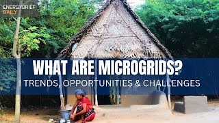 What are Microgrids Trends, Challenges and Key Drivers in the Minigrid/Microgrid Market 2023