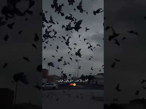 جــــرحــونــــي جــرح كــرهونــي نــوم الليل