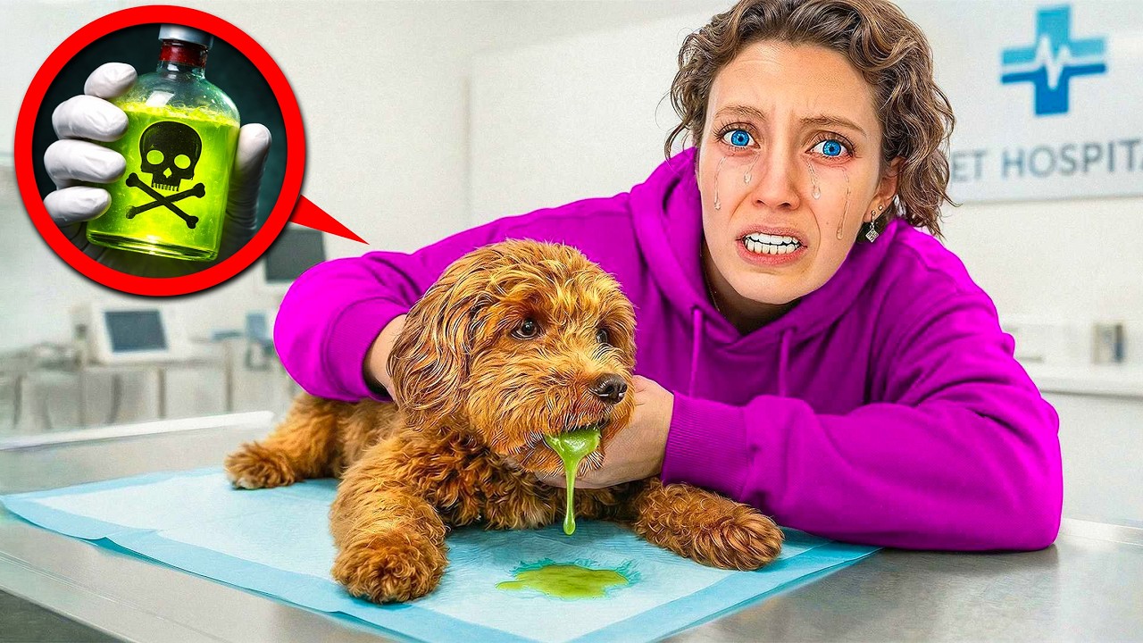 Someone POISONED my PUPPY... **EMERGENCY**
