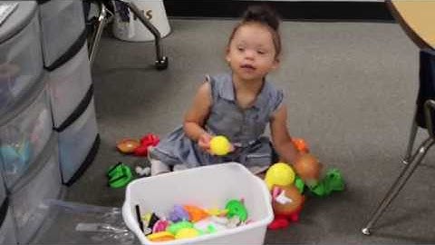 Concept Based Curriculum