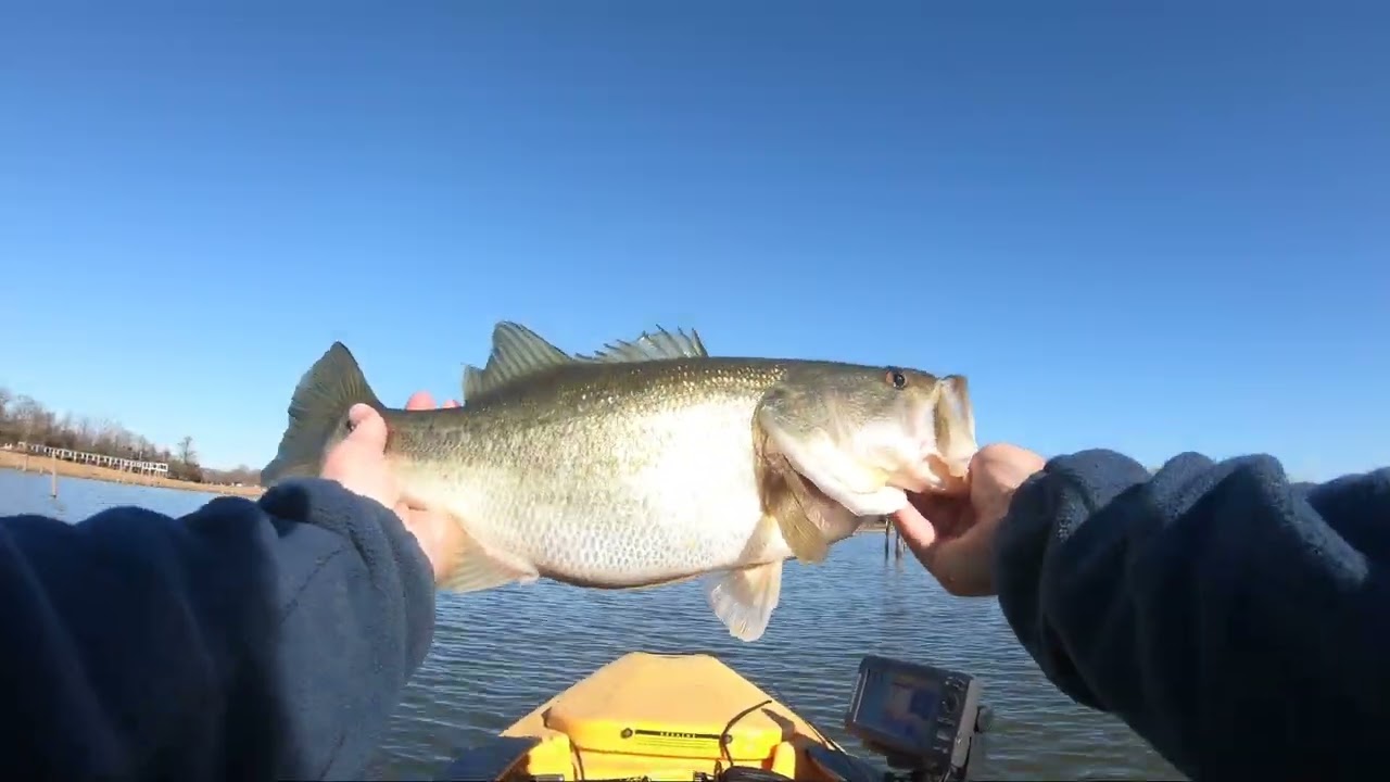 FAT Winter Bass on Lake Fork!