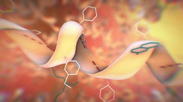 MicroCal PEAQ-DSC: the future of protein stability characterization