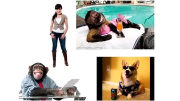 Teaching Evolution via Phylogenetics