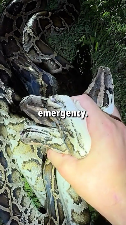 This Guy Makes The Jungle Afraid Of Him 😨💀