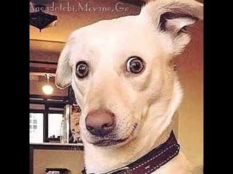 minecrafti zipgamertan ertad