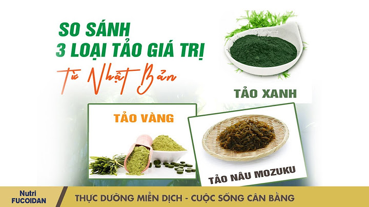 So sánh rong biển và tảo năm 2024