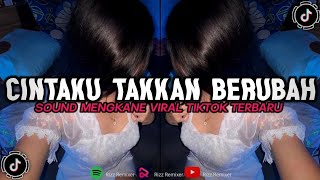 DJ Viral Tiktok || Cintaku Takkan Berubah Mengkane (Bootleg) Rizz Remixer 🎧