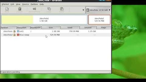 pupeez..nearly perfect pup..