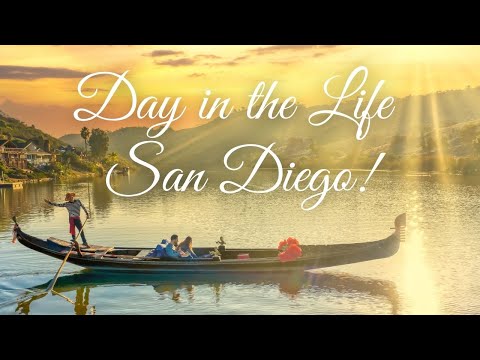 Day In The