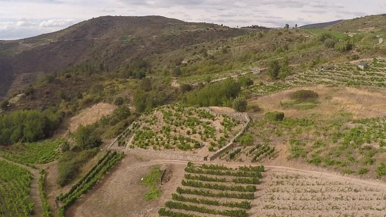 BODEGA RAFAEL PALACIOS, Valdeorras, SPAIN. DRONE 4K
