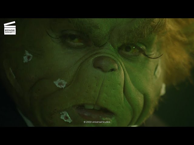 How The Grinch Got A Green Face Is Viewed From The Front